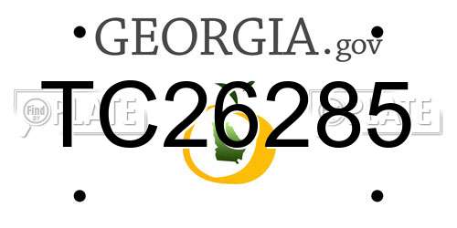 TC26285 Georgia License Plate