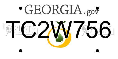 TC2W756 Georgia License Plate