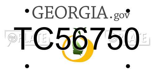 TC56750 Georgia License Plate