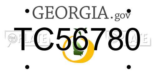 TC56780 Georgia License Plate
