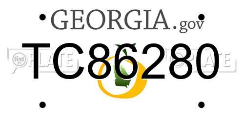 TC86280 Georgia License Plate