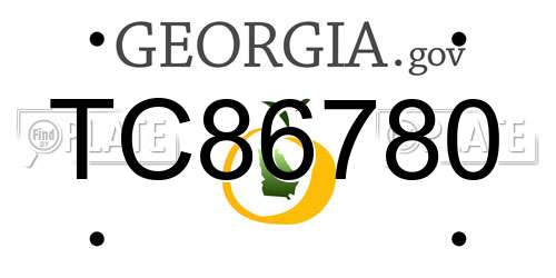 TC86780 Georgia License Plate