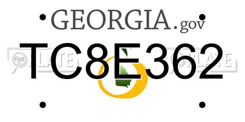 TC8E362 Georgia License Plate