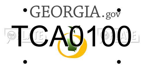 TCA0100 Georgia License Plate