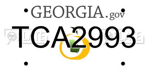 TCA2993 Georgia License Plate