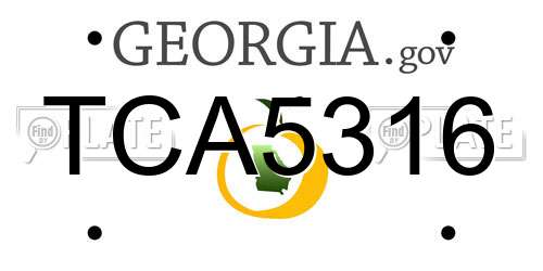 TCA5316 Georgia License Plate