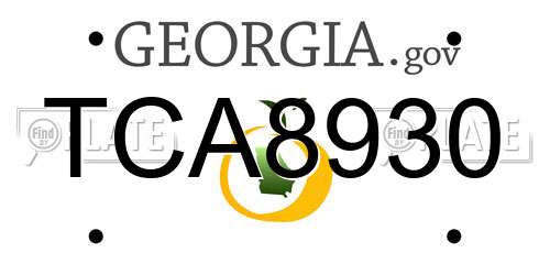TCA8930 Georgia License Plate