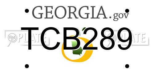 TCB289 Georgia License Plate