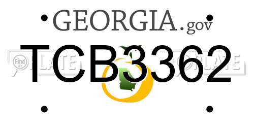 TCB3362 Georgia License Plate
