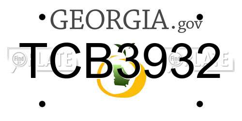 TCB3932 Georgia License Plate