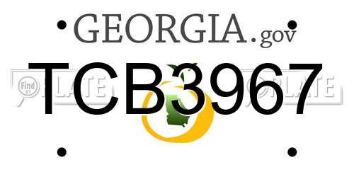 TCB3967 Georgia License Plate