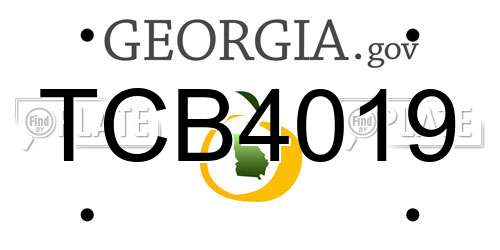 TCB4019 Georgia License Plate