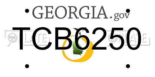 TCB6250 Georgia License Plate