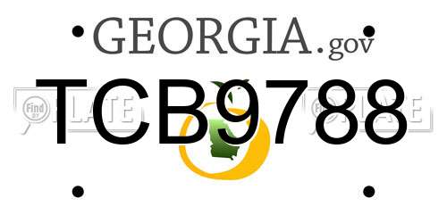 TCB9788 Georgia License Plate