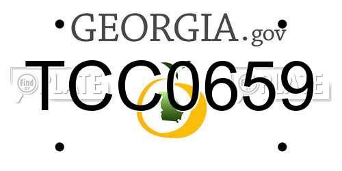 TCC0659 Georgia License Plate