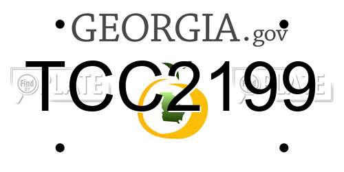 TCC2199 Georgia License Plate