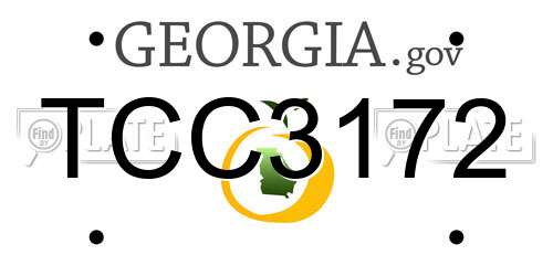 TCC3172 Georgia License Plate
