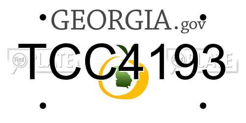 TCC4193 Georgia License Plate