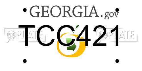 TCC421 Georgia License Plate