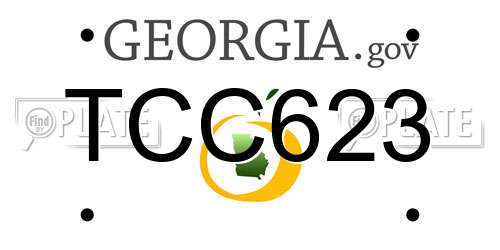 TCC623 Georgia License Plate