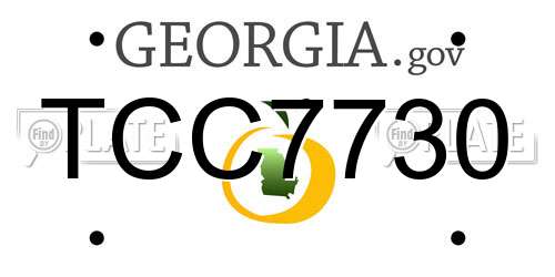 TCC7730 Georgia License Plate