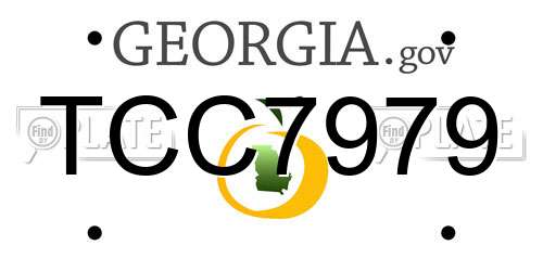 TCC7979 Georgia License Plate