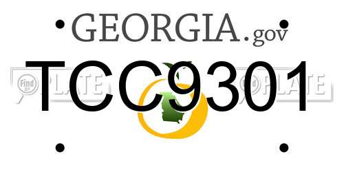 TCC9301 Georgia License Plate