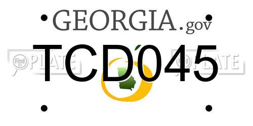 TCD045 Georgia License Plate