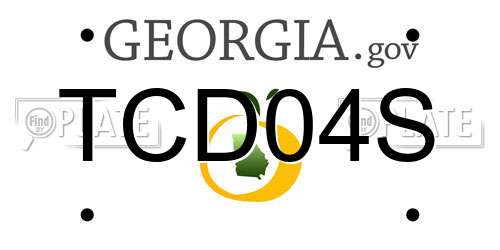 TCD04S Georgia License Plate