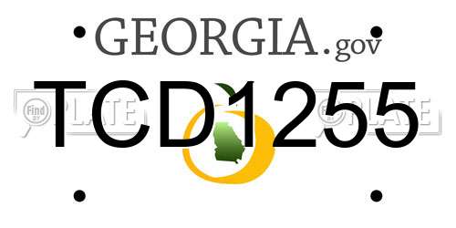 TCD1255 Georgia License Plate