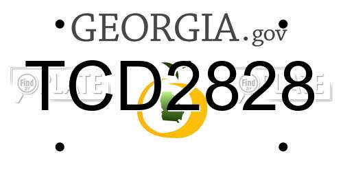 TCD2828 Georgia License Plate