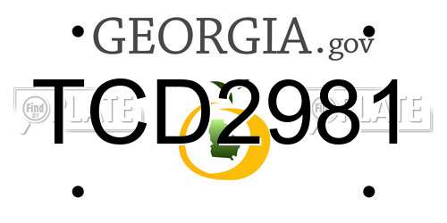 TCD2981 Georgia License Plate