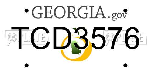 TCD3576 Georgia License Plate