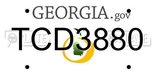 TCD3880 Georgia License Plate