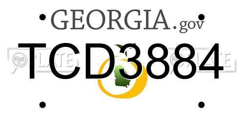 TCD3884 Georgia License Plate