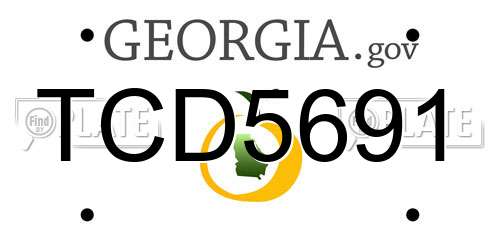 TCD5691 Georgia License Plate