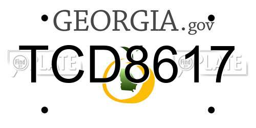TCD8617 Georgia License Plate