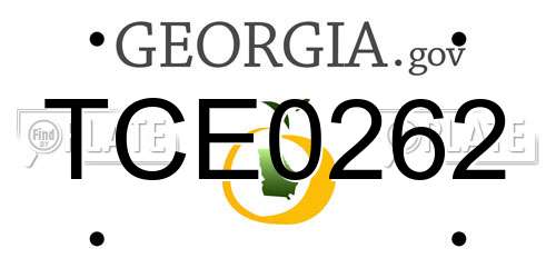 TCE0262 Georgia License Plate