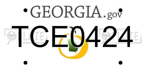 TCE0424 Georgia License Plate