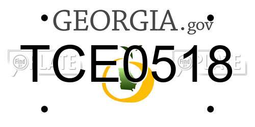 TCE0518 Georgia License Plate