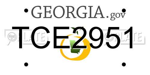 TCE2951 Georgia License Plate