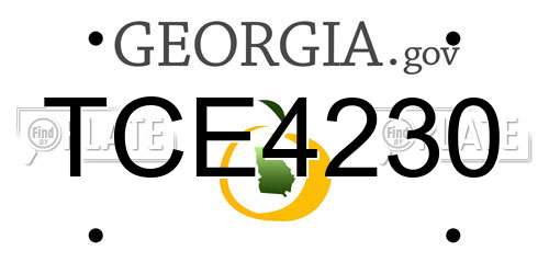 TCE4230 Georgia License Plate