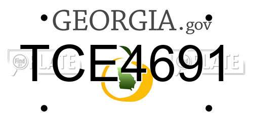 TCE4691 Georgia License Plate