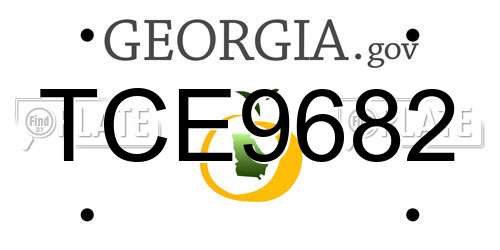 TCE9682 Georgia License Plate
