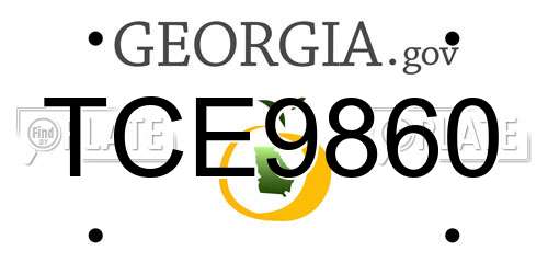 TCE9860 Georgia License Plate