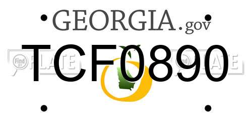 TCF0890 Georgia License Plate