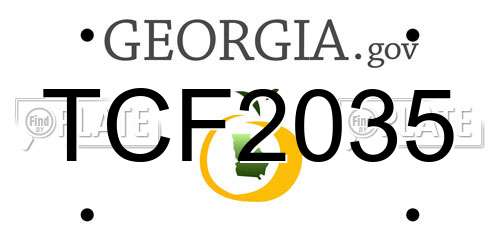 TCF2035 Georgia License Plate