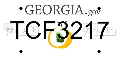 TCF3217 Georgia License Plate
