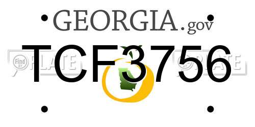 TCF3756 Georgia License Plate