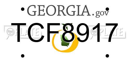 TCF8917 Georgia License Plate